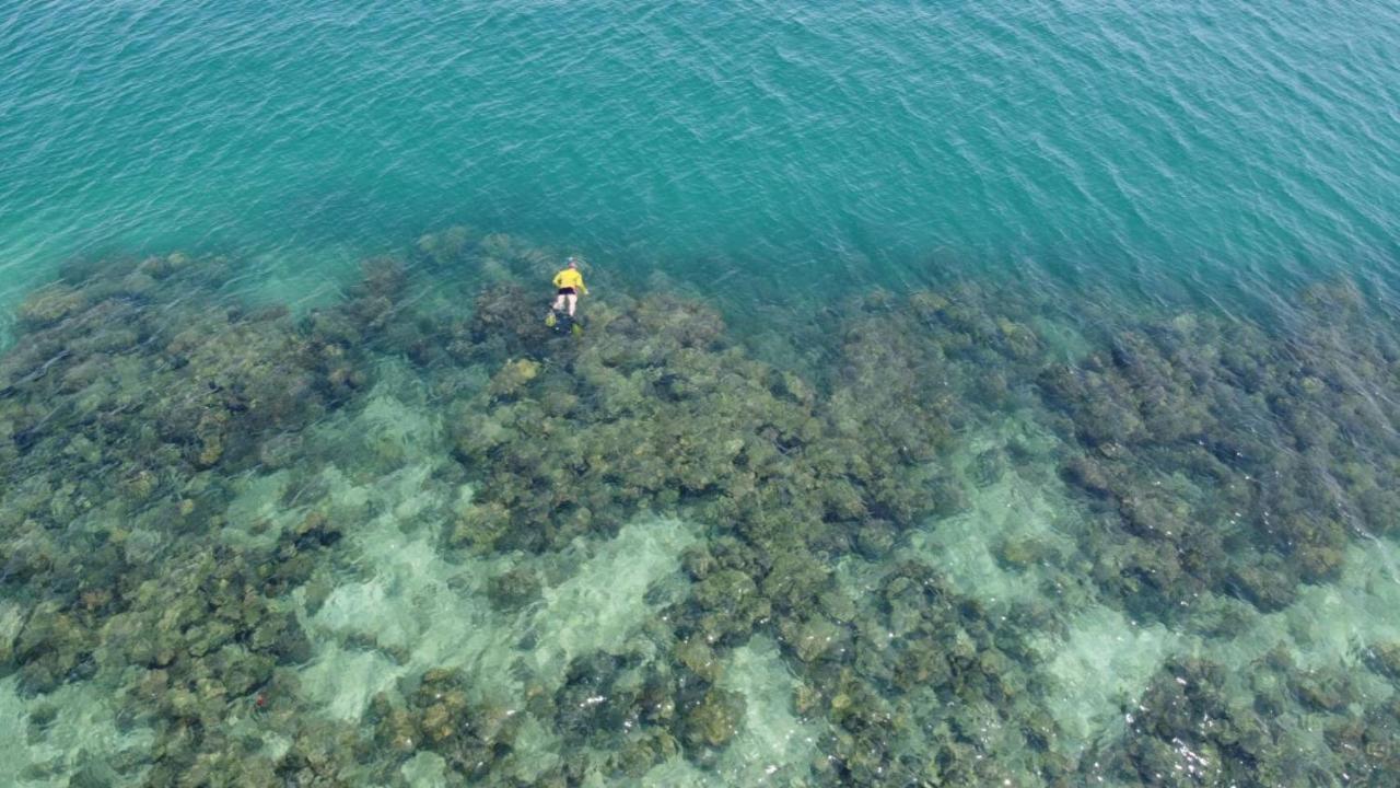 Koh Ngai Kaimuk Thong Resort Εξωτερικό φωτογραφία